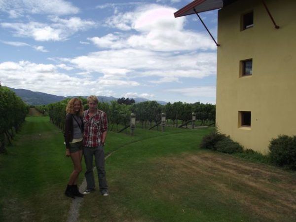 Wine tasting in Belnheim