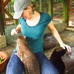 Inge in Costa Rica