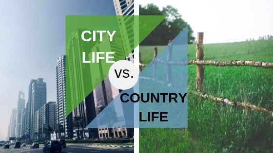 Топик: Problems of city and country life