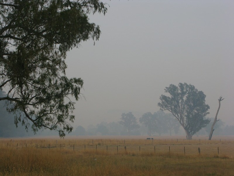 The smoky landscape on February 12th, amid the Victorian BushFire