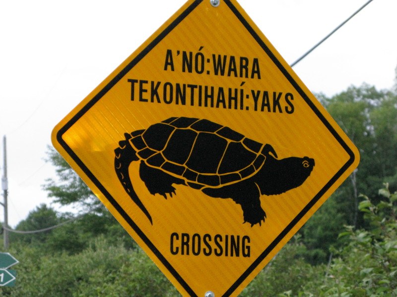 Turtle crossing sign - Canadian wild animals abound!