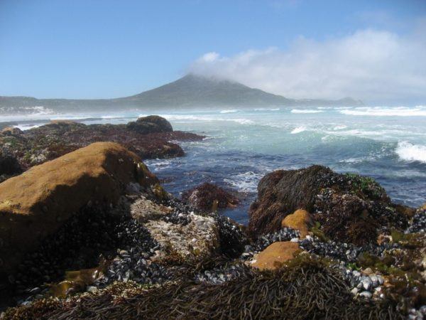 Ocean and rocks on the Cape of South Africa; photo by Lea and Jonathan Woodward