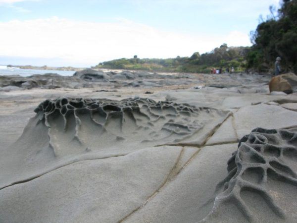 the beach at Cape Otway