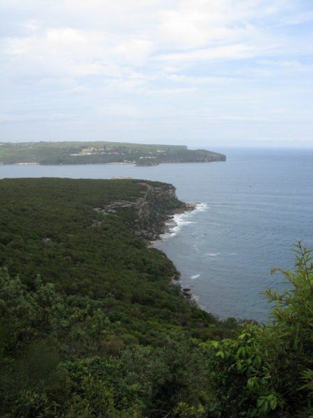 View from Manly Scenic Walkway