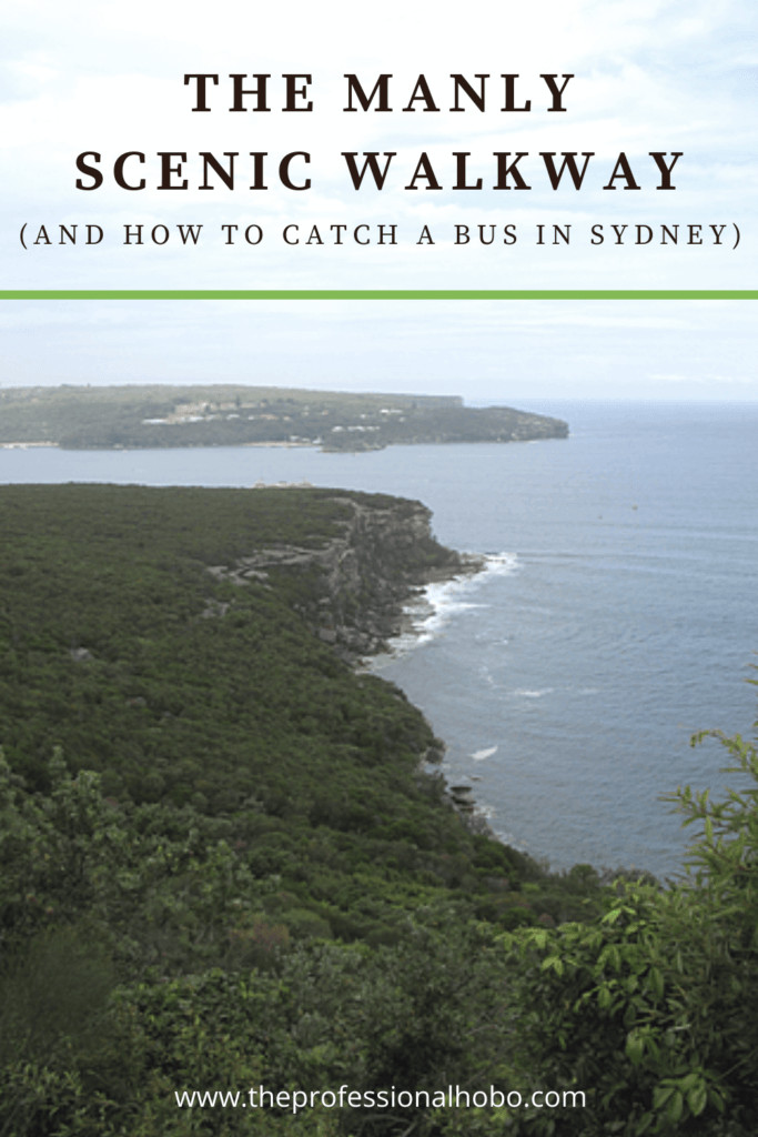 Check out the Manly Scenic Walkway in Sydney; a travel tale with additional advice on how to catch a bus in Sydney (aka: don't make my mistake!) #ManlyScenicWalkway #Sydney #Australia #traveltips #TheProfessionalHobo