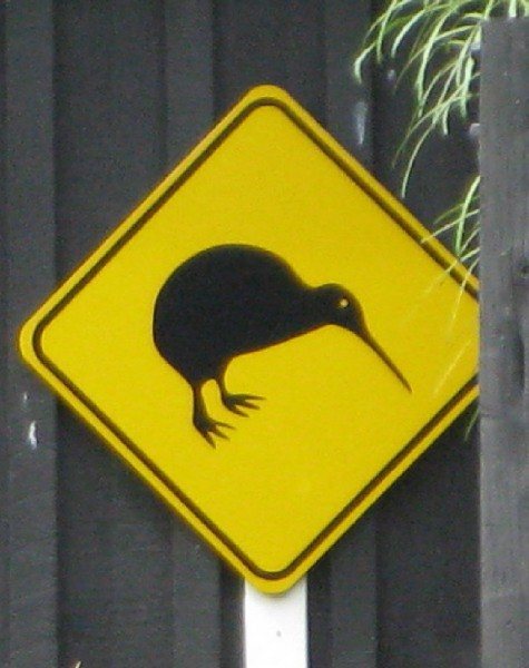 kiwi bird sign in New Zealand