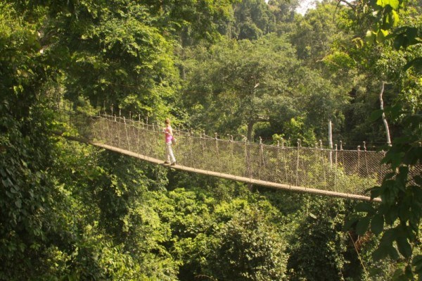 Kakum-Rainforest-Canopy