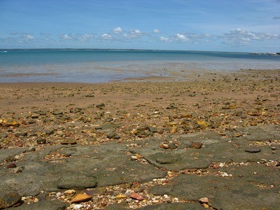 darwin beach