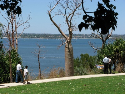 Kings Park in Perth Australia