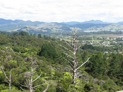 The view from the top of Driving Creek Railway, Coromandel