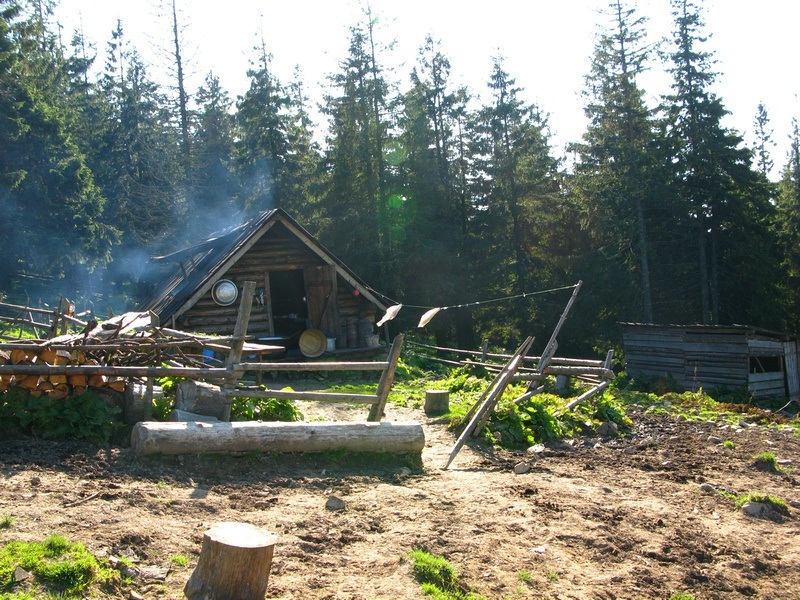 Ukrainian shepherd's home