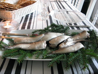 Surstromming in Sweden, traditionally served on boughs of pine branches