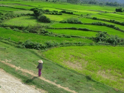 purple woman walking through green field