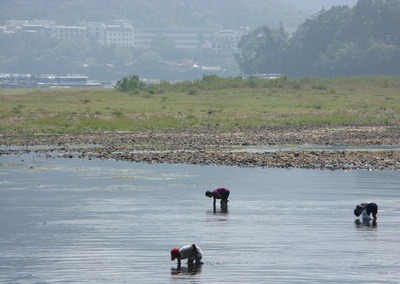 harvesting food from the clear waters of the river