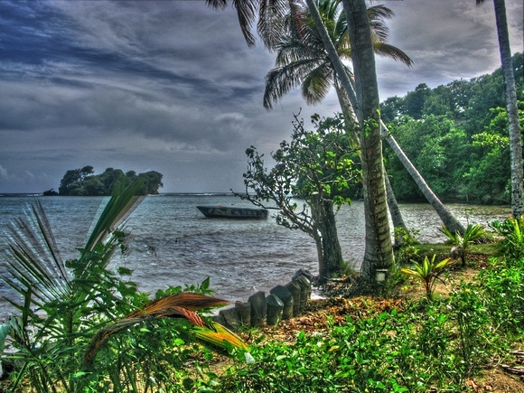 a view of the lush coast with trees and water and sky