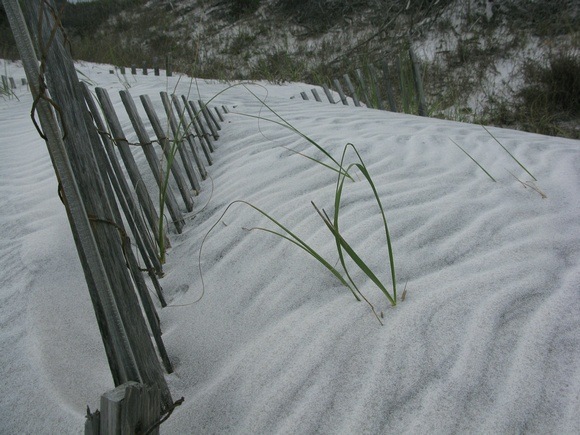 sand dunes