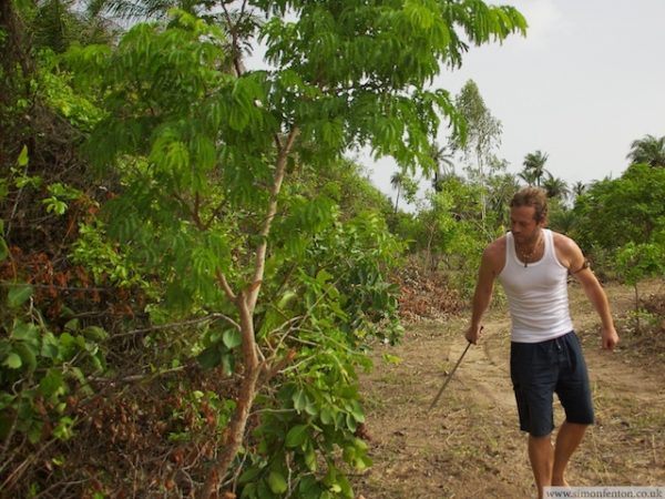 Simon Fenton, clearing his land in Senegal