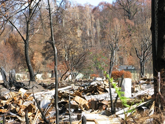 Victorian Bush Fires