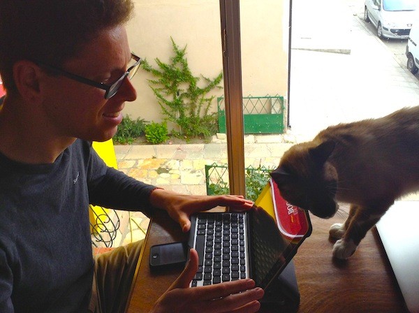 Working at a laptop with a cat trying to interrupt