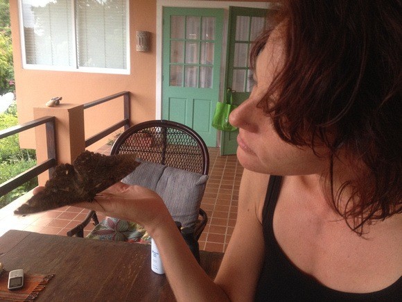 Nora Dunn holding a giant moth in Panama