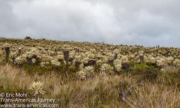 Colombia-Paramo, photo by Trans Americas Journey