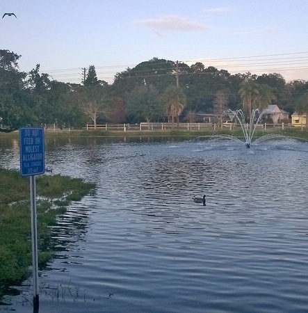 water feature in Gulfport