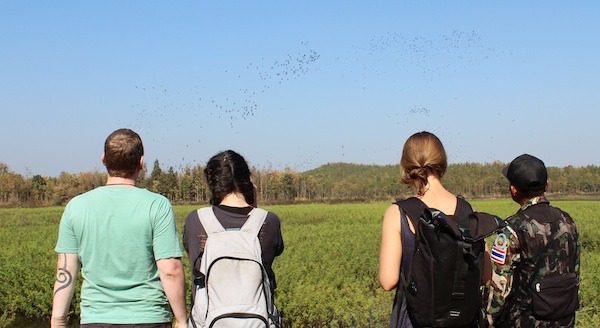 Four people watching birds at the lake