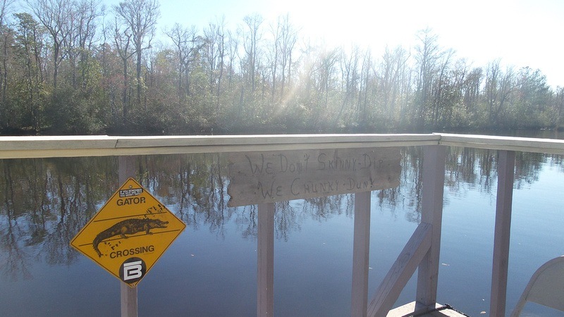 Gator Crossing sign next to Florida river