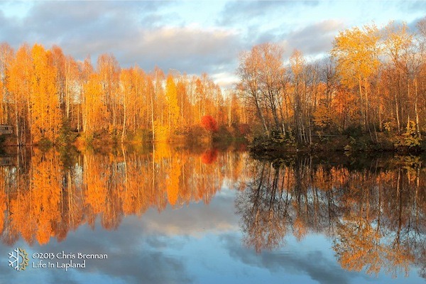 autumn colours in finnish lapland