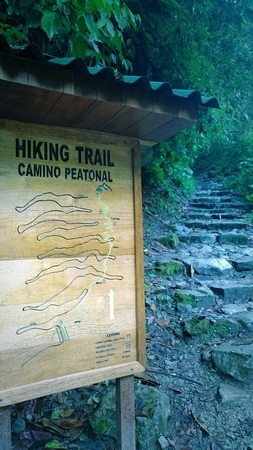 hiking trail up the side of Machu Picchu