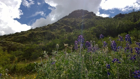 A view in the Andes - munay ki