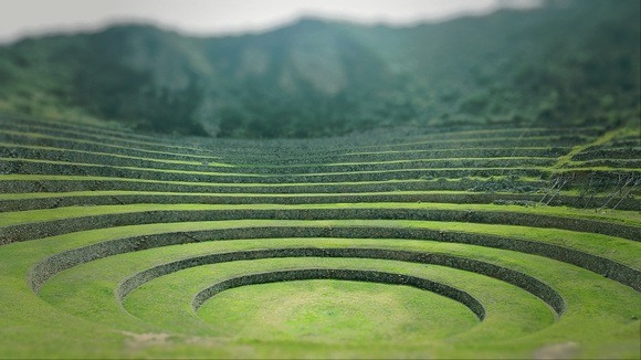 Green circular terraces at Moray