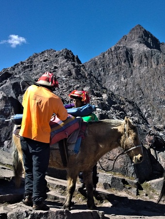 wranglers adjusting horses for the descent from the highest point of the Lares trek