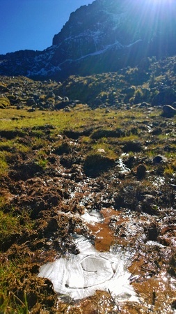 Ice in the morning after camping on the way to Lares