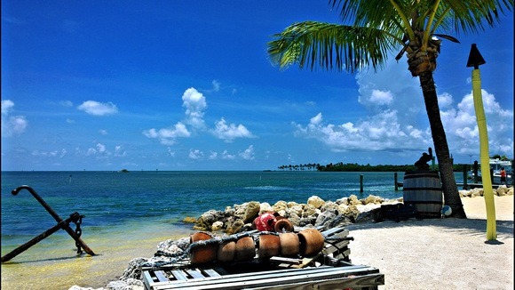 Beach and fishing gear with blue sky and palm tree