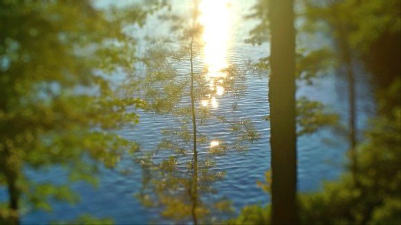 Sparkling lake in cottage country