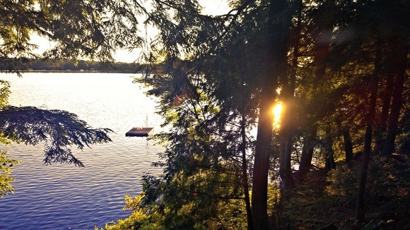 A perfect Muskoka scene with lake and trees