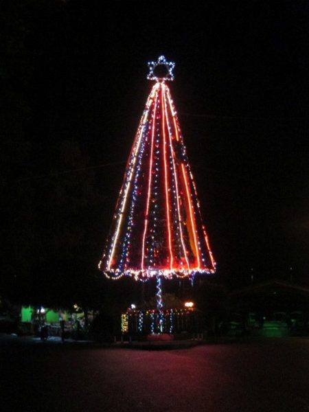 Christmas tree with lights, photo by East Village Nomad