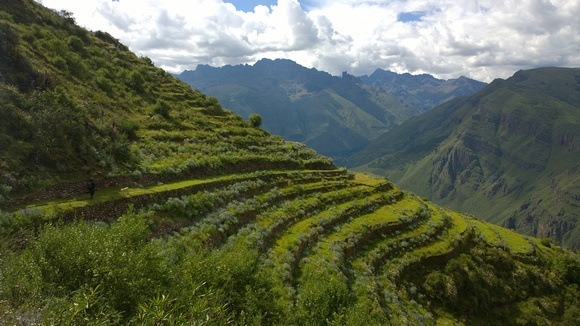 Terraced mountainside in the Sacred Valley of Peru