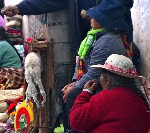 Peruvian market in Cusco, with a dead lamb hanging