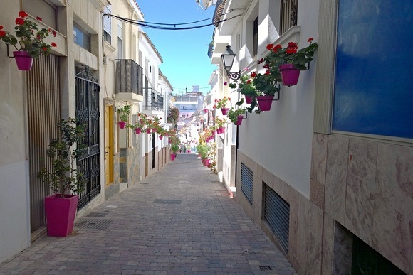 Street in Estepona, lined with pink flower pots