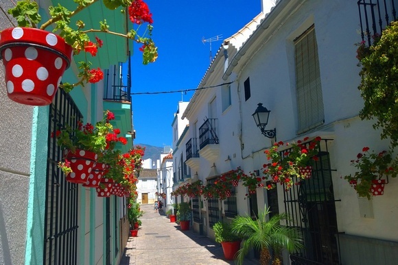 Street with Red polka dot flower pots