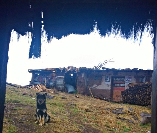 the insider's view of a Quechua community