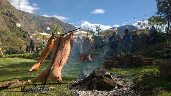 pigs roasting over an open fire at a wedding in Peru