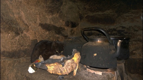 kittens on a blackened wood stove in the corner of a Quechua home on Mount Pachatusan