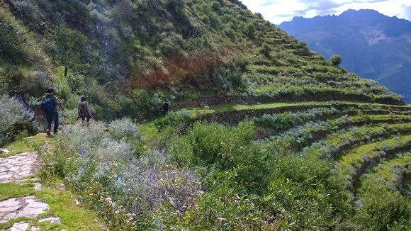 a mountain pass in March with lush green terraces 