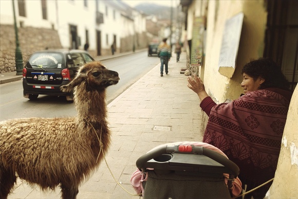 A llama and it's owner: a common sight in Cusco, where I had my purse stolen