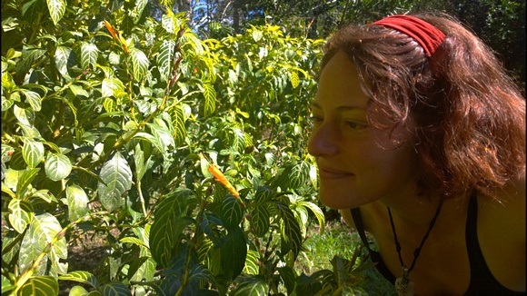 Nora Dunn, The Professional Hobo, with the altaruna plant in the jungle, part of her jungle journal experience