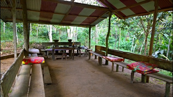 ayahuasca ceremony maloca in the jungle