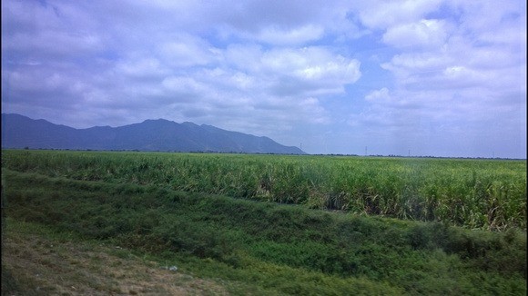 scenery near Guayaquil, Ecuador